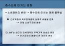 현대 사회의 고령화에 따른 문제점과 방안 18페이지