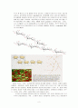 The Hydrolysis of Starch, Casein, Gelatin 2페이지