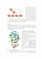 The Hydrolysis of Starch, Casein, Gelatin 3페이지