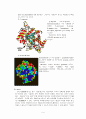 The Hydrolysis of Starch, Casein, Gelatin 4페이지