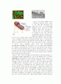 The Hydrolysis of Starch, Casein, Gelatin 7페이지