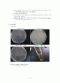 The Hydrolysis of Starch, Casein, Gelatin 11페이지