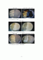 The Hydrolysis of Starch, Casein, Gelatin 12페이지