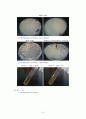 The Hydrolysis of Starch, Casein, Gelatin 15페이지