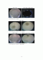 The Hydrolysis of Starch, Casein, Gelatin 16페이지