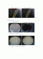 The Hydrolysis of Starch, Casein, Gelatin 17페이지