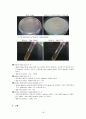 The Hydrolysis of Starch, Casein, Gelatin 18페이지
