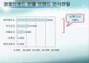 fnc 코오롱팀버랜드의 실패원인과 경쟁사분석,향후대책 33페이지