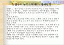 도시근로자와 농가의 소득비교 19페이지