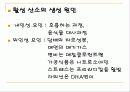 '항산화'기능을 가진 기능성식품 3페이지
