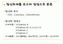 '항산화'기능을 가진 기능성식품 7페이지