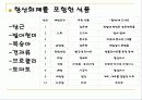 '항산화'기능을 가진 기능성식품 8페이지