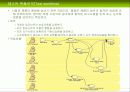 CBD방법론 마르미와 RUP 51페이지