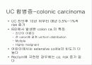 염증성 장질환 (ulcerative colitis) 4페이지