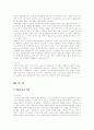 이탈리아와한국비교 11페이지