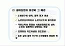 고령화 사회 ,실버 산업 16페이지