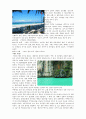 허니문 관광의 선호지역 및 여행자 성향 2페이지