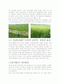 고창경관농업특구지역(특화지역, 특구지역 조사) 4페이지