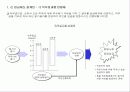 HR전략수립 및 직무가치 27페이지