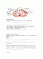 ataxia 정의, 특징, disorder 4페이지