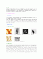 미생물의 종류와 특성 8페이지