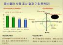 코카콜라와 펩시의 콜라전쟁 17페이지