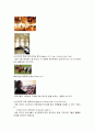 싱가포르의 모든것 15페이지