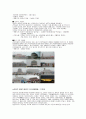 중국의 모든 것 42페이지