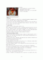 체코의 모든 것 12페이지