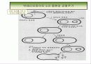 플라즈미드와 박테리오파아지에 대해 알아보자 11페이지