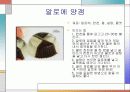 알로에의 역사와 효능 및 활용 10페이지