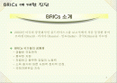 BRICs의 국가별 특징 기회와 위협 2페이지