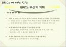 BRICs의 국가별 특징 기회와 위협 7페이지