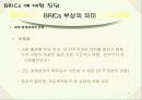 BRICs의 국가별 특징 기회와 위협 8페이지