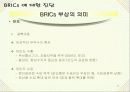 BRICs의 국가별 특징 기회와 위협 10페이지