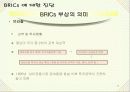 BRICs의 국가별 특징 기회와 위협 14페이지
