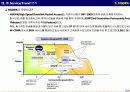 DMB WiBro, HSDPA 트랜드 분석 16페이지