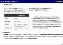 DMB WiBro, HSDPA 트랜드 분석 17페이지