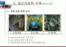 생산 자동화 사례 13페이지