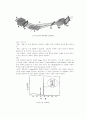  X-ray diffrection (XRD)엑스선 엑스알디 6페이지