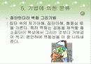미술요법 28페이지