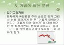 미술요법 38페이지