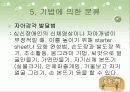 미술요법 40페이지