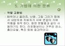 미술요법 48페이지