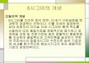 6시그마경영 9페이지
