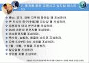 교통선진국으로의 진입을 위한 국내외 교통사고율 분석 24페이지