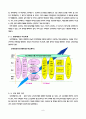 유한킴벌리 조직 구조 사례 분석 8페이지