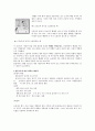 생물 농축의 과정과 원인물질, 그리고 예방책 13페이지