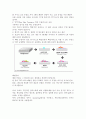 삼성 AMLCD 사업부의 LCD TV 패널 경쟁전략 3페이지