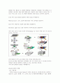삼성 AMLCD 사업부의 LCD TV 패널 경쟁전략 7페이지